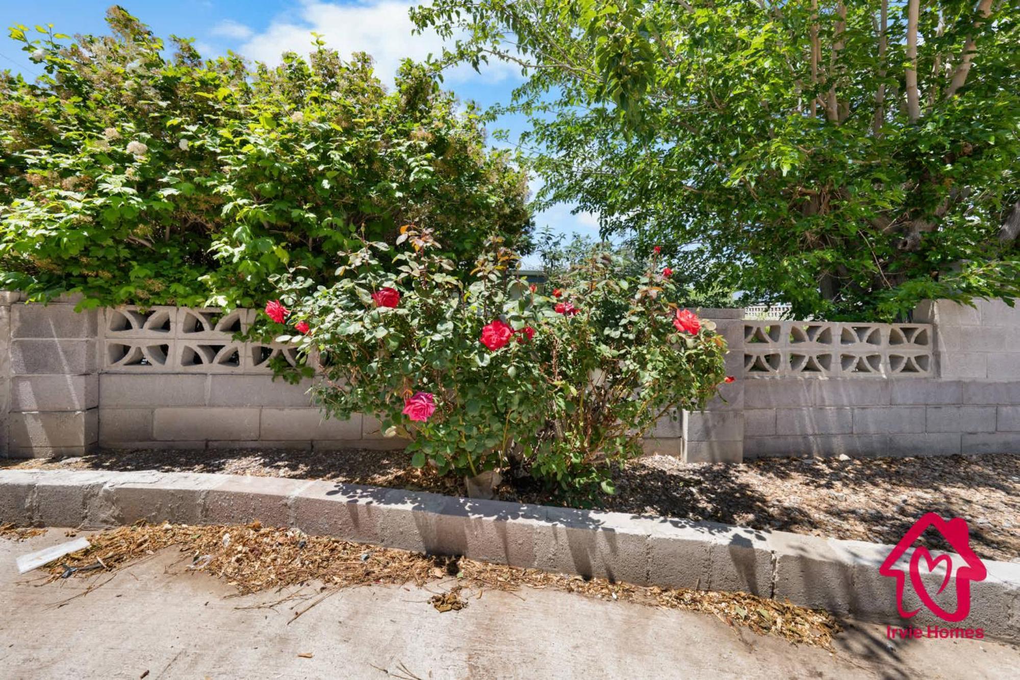 Chapala Charm 6Br Family Oasis - An Irvie Home Albuquerque Extérieur photo